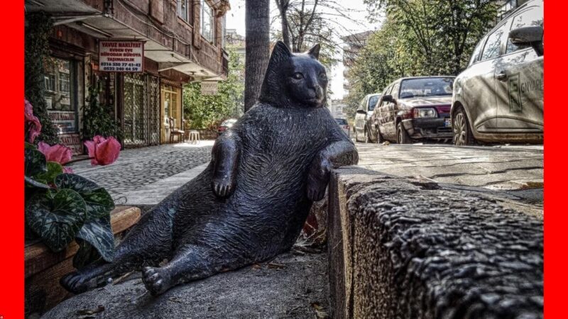 Volkswagen T-Cross e Hyundai Creta em comparativo de SUVs compactos