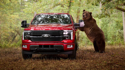 Ford coloca urso de 360kg para destruir F-150 em teste [vídeo]