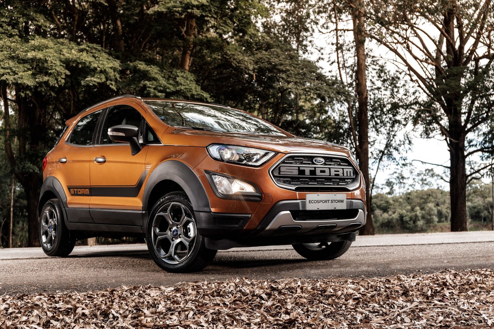Ford EcoSport Storm: 10 dicas sobre este SUV usado