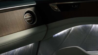 A ovelha que já valeu pena de morte agora forra o banco do novo Bentley elétrico