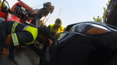Ela parou para tomar café e saiu com o Honda desmontado por conta de um animal preso no carro