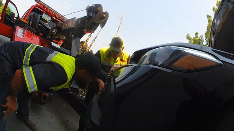 Ela parou para tomar café e saiu com o Honda desmontado por conta de um animal preso no carro